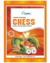 CHESS