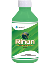 Rinon