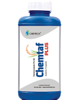 Chemtef Plus