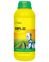 COPL 32