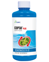 COPTAF PLUS